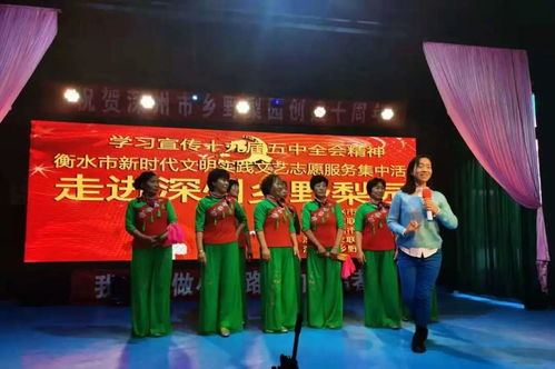 衡水市举办新时代文明实践文艺志愿服务集中活动 搭建文化艺术交流平台